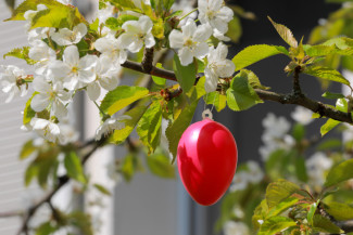 Rotes Osterei am Osterbaum