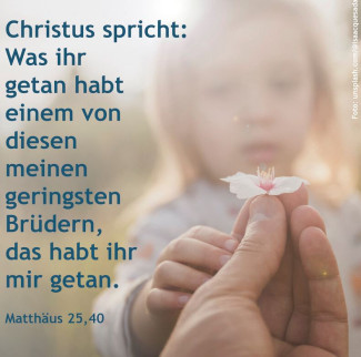 13. So nach Trinitatis